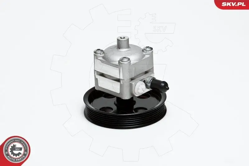 Hydraulikpumpe, Lenkung ESEN SKV 10SKV028