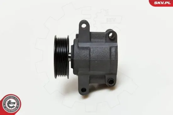 Hydraulikpumpe, Lenkung ESEN SKV 10SKV035 Bild Hydraulikpumpe, Lenkung ESEN SKV 10SKV035