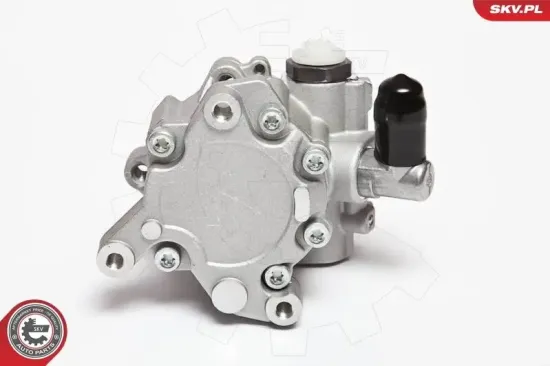 Hydraulikpumpe, Lenkung ESEN SKV 10SKV043 Bild Hydraulikpumpe, Lenkung ESEN SKV 10SKV043