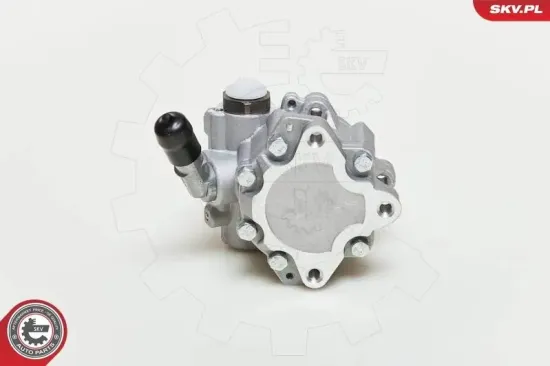 Hydraulikpumpe, Lenkung ESEN SKV 10SKV048 Bild Hydraulikpumpe, Lenkung ESEN SKV 10SKV048