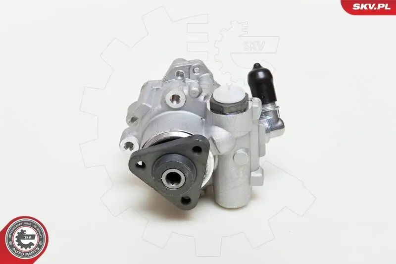 Hydraulikpumpe, Lenkung ESEN SKV 10SKV049