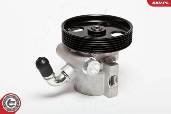 Hydraulikpumpe, Lenkung ESEN SKV 10SKV062 Bild Hydraulikpumpe, Lenkung ESEN SKV 10SKV062