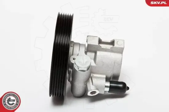 Hydraulikpumpe, Lenkung ESEN SKV 10SKV069 Bild Hydraulikpumpe, Lenkung ESEN SKV 10SKV069