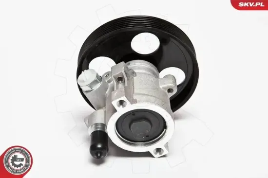 Hydraulikpumpe, Lenkung ESEN SKV 10SKV069 Bild Hydraulikpumpe, Lenkung ESEN SKV 10SKV069