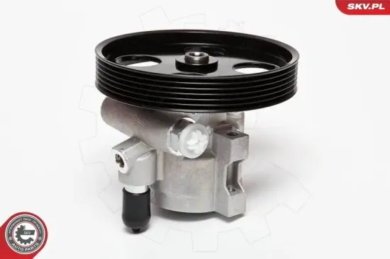 Hydraulikpumpe, Lenkung ESEN SKV 10SKV069 Bild Hydraulikpumpe, Lenkung ESEN SKV 10SKV069
