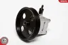 Hydraulikpumpe, Lenkung ESEN SKV 10SKV074 Bild Hydraulikpumpe, Lenkung ESEN SKV 10SKV074