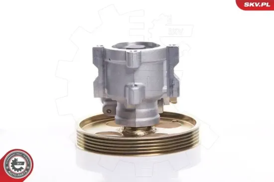 Hydraulikpumpe, Lenkung ESEN SKV 10SKV119 Bild Hydraulikpumpe, Lenkung ESEN SKV 10SKV119
