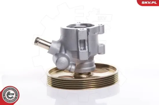 Hydraulikpumpe, Lenkung ESEN SKV 10SKV119 Bild Hydraulikpumpe, Lenkung ESEN SKV 10SKV119