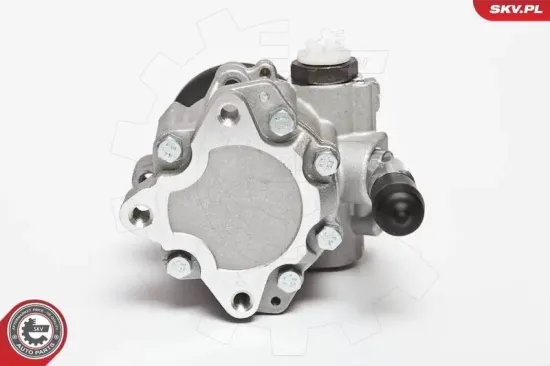 Hydraulikpumpe, Lenkung ESEN SKV 10SKV123 Bild Hydraulikpumpe, Lenkung ESEN SKV 10SKV123