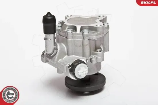 Hydraulikpumpe, Lenkung ESEN SKV 10SKV123 Bild Hydraulikpumpe, Lenkung ESEN SKV 10SKV123