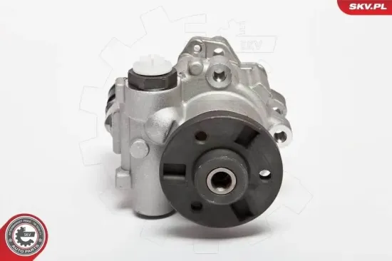 Hydraulikpumpe, Lenkung ESEN SKV 10SKV123 Bild Hydraulikpumpe, Lenkung ESEN SKV 10SKV123