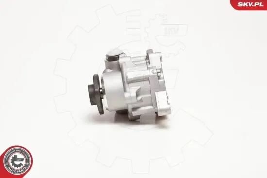 Hydraulikpumpe, Lenkung ESEN SKV 10SKV124 Bild Hydraulikpumpe, Lenkung ESEN SKV 10SKV124