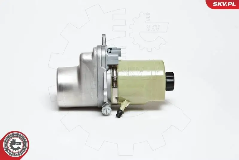 Hydraulikpumpe, Lenkung ESEN SKV 10SKV135