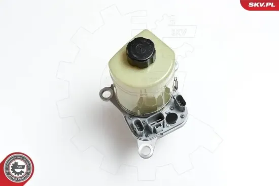 Hydraulikpumpe, Lenkung ESEN SKV 10SKV135 Bild Hydraulikpumpe, Lenkung ESEN SKV 10SKV135