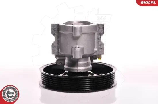 Hydraulikpumpe, Lenkung ESEN SKV 10SKV142 Bild Hydraulikpumpe, Lenkung ESEN SKV 10SKV142