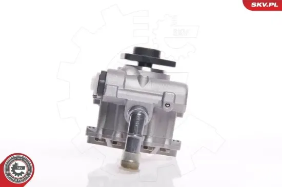 Hydraulikpumpe, Lenkung ESEN SKV 10SKV145 Bild Hydraulikpumpe, Lenkung ESEN SKV 10SKV145