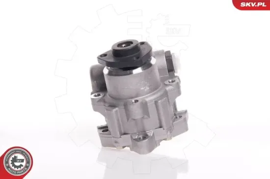 Hydraulikpumpe, Lenkung ESEN SKV 10SKV145 Bild Hydraulikpumpe, Lenkung ESEN SKV 10SKV145