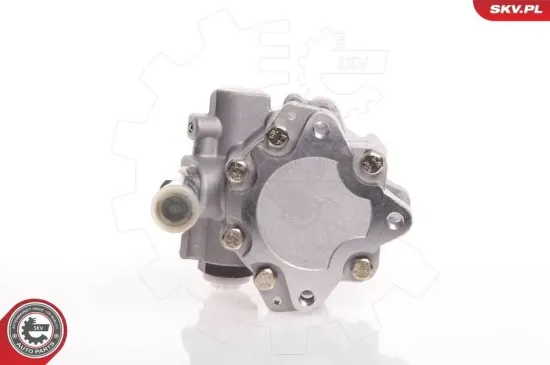 Hydraulikpumpe, Lenkung ESEN SKV 10SKV145 Bild Hydraulikpumpe, Lenkung ESEN SKV 10SKV145