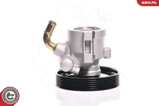 Hydraulikpumpe, Lenkung ESEN SKV 10SKV156 Bild Hydraulikpumpe, Lenkung ESEN SKV 10SKV156