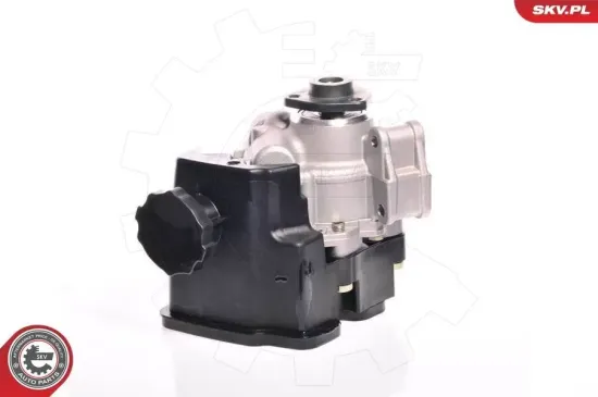 Hydraulikpumpe, Lenkung ESEN SKV 10SKV162 Bild Hydraulikpumpe, Lenkung ESEN SKV 10SKV162