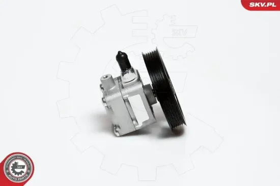 Hydraulikpumpe, Lenkung ESEN SKV 10SKV176 Bild Hydraulikpumpe, Lenkung ESEN SKV 10SKV176