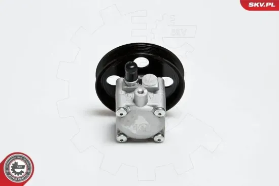 Hydraulikpumpe, Lenkung ESEN SKV 10SKV176 Bild Hydraulikpumpe, Lenkung ESEN SKV 10SKV176