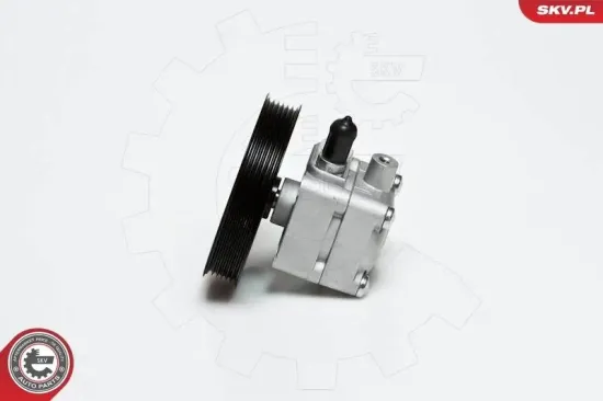 Hydraulikpumpe, Lenkung ESEN SKV 10SKV176 Bild Hydraulikpumpe, Lenkung ESEN SKV 10SKV176