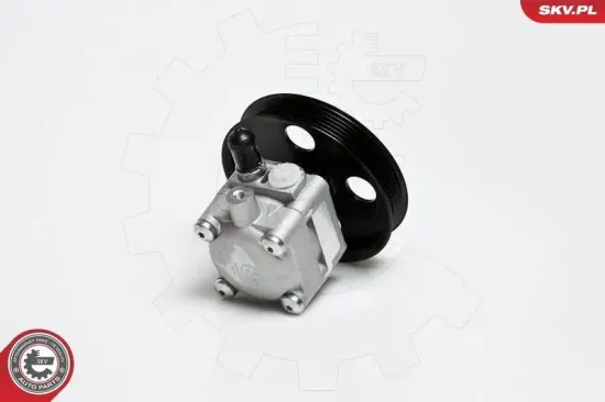 Hydraulikpumpe, Lenkung ESEN SKV 10SKV176 Bild Hydraulikpumpe, Lenkung ESEN SKV 10SKV176