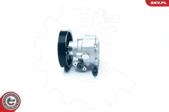 Hydraulikpumpe, Lenkung ESEN SKV 10SKV183 Bild Hydraulikpumpe, Lenkung ESEN SKV 10SKV183