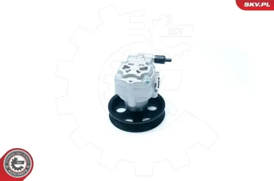 Hydraulikpumpe, Lenkung ESEN SKV 10SKV183 Bild Hydraulikpumpe, Lenkung ESEN SKV 10SKV183