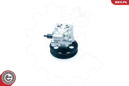 Hydraulikpumpe, Lenkung ESEN SKV 10SKV183 Bild Hydraulikpumpe, Lenkung ESEN SKV 10SKV183