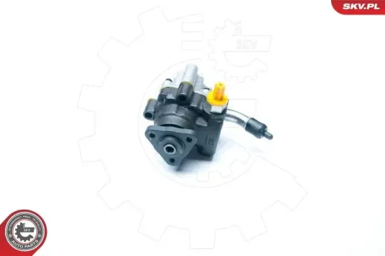 Hydraulikpumpe, Lenkung ESEN SKV 10SKV189 Bild Hydraulikpumpe, Lenkung ESEN SKV 10SKV189