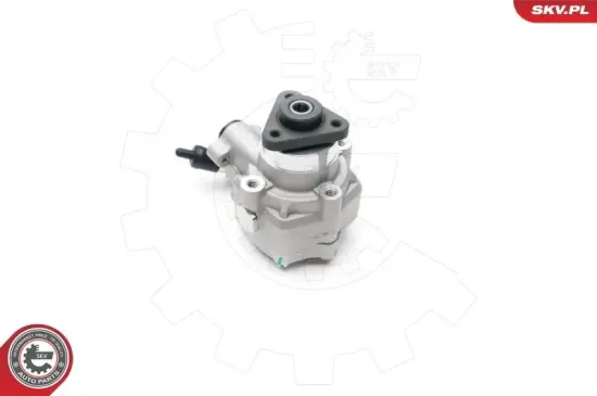 Hydraulikpumpe, Lenkung ESEN SKV 10SKV194 Bild Hydraulikpumpe, Lenkung ESEN SKV 10SKV194