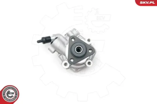 Hydraulikpumpe, Lenkung ESEN SKV 10SKV194 Bild Hydraulikpumpe, Lenkung ESEN SKV 10SKV194