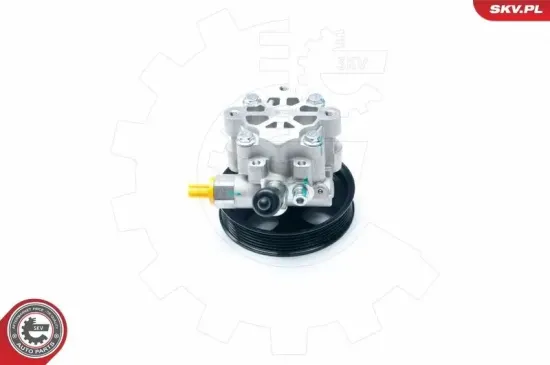 Hydraulikpumpe, Lenkung ESEN SKV 10SKV195 Bild Hydraulikpumpe, Lenkung ESEN SKV 10SKV195