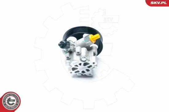 Hydraulikpumpe, Lenkung ESEN SKV 10SKV195 Bild Hydraulikpumpe, Lenkung ESEN SKV 10SKV195
