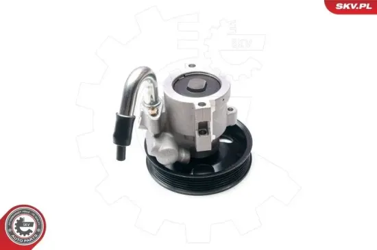 Hydraulikpumpe, Lenkung ESEN SKV 10SKV206 Bild Hydraulikpumpe, Lenkung ESEN SKV 10SKV206