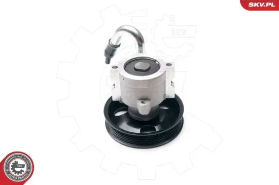 Hydraulikpumpe, Lenkung ESEN SKV 10SKV206 Bild Hydraulikpumpe, Lenkung ESEN SKV 10SKV206