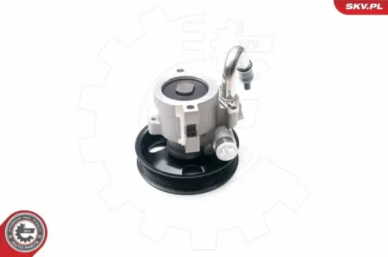 Hydraulikpumpe, Lenkung ESEN SKV 10SKV206 Bild Hydraulikpumpe, Lenkung ESEN SKV 10SKV206