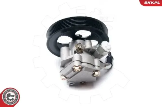 Hydraulikpumpe, Lenkung ESEN SKV 10SKV216 Bild Hydraulikpumpe, Lenkung ESEN SKV 10SKV216