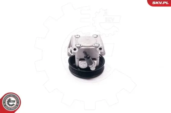 Hydraulikpumpe, Lenkung ESEN SKV 10SKV219 Bild Hydraulikpumpe, Lenkung ESEN SKV 10SKV219