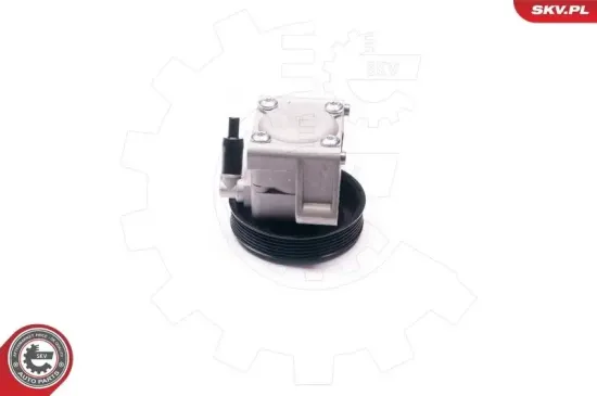 Hydraulikpumpe, Lenkung ESEN SKV 10SKV219 Bild Hydraulikpumpe, Lenkung ESEN SKV 10SKV219