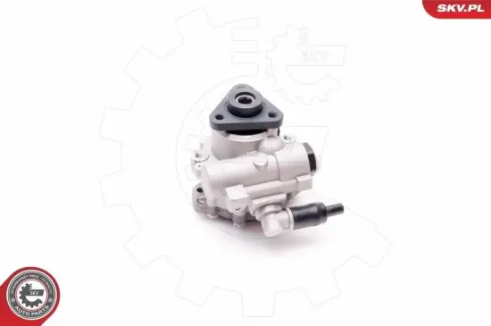 Hydraulikpumpe, Lenkung ESEN SKV 10SKV220 Bild Hydraulikpumpe, Lenkung ESEN SKV 10SKV220