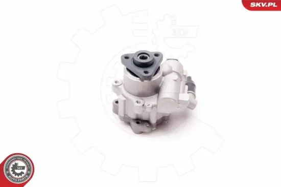 Hydraulikpumpe, Lenkung ESEN SKV 10SKV220 Bild Hydraulikpumpe, Lenkung ESEN SKV 10SKV220