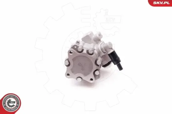 Hydraulikpumpe, Lenkung ESEN SKV 10SKV220 Bild Hydraulikpumpe, Lenkung ESEN SKV 10SKV220