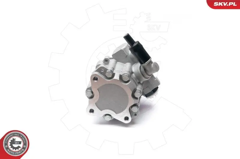 Hydraulikpumpe, Lenkung ESEN SKV 10SKV224