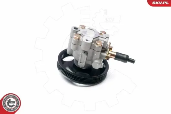 Hydraulikpumpe, Lenkung ESEN SKV 10SKV228 Bild Hydraulikpumpe, Lenkung ESEN SKV 10SKV228