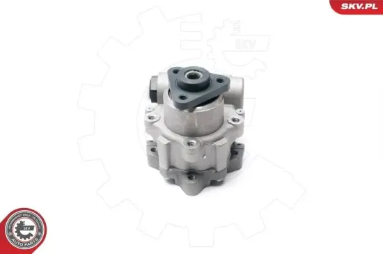 Hydraulikpumpe, Lenkung ESEN SKV 10SKV233 Bild Hydraulikpumpe, Lenkung ESEN SKV 10SKV233