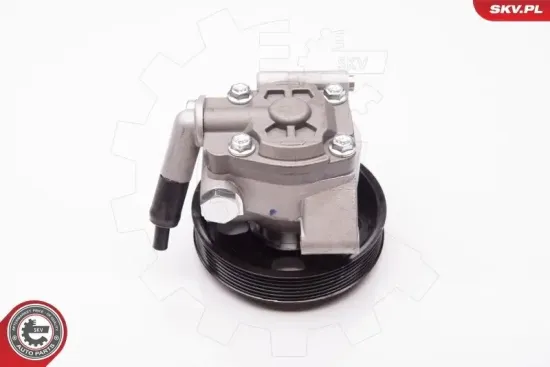 Hydraulikpumpe, Lenkung ESEN SKV 10SKV238 Bild Hydraulikpumpe, Lenkung ESEN SKV 10SKV238