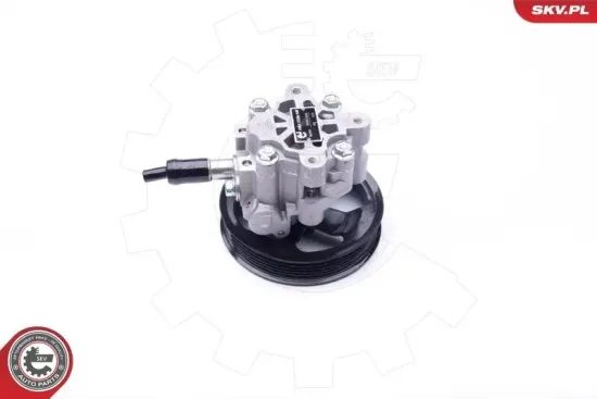 Hydraulikpumpe, Lenkung ESEN SKV 10SKV265 Bild Hydraulikpumpe, Lenkung ESEN SKV 10SKV265